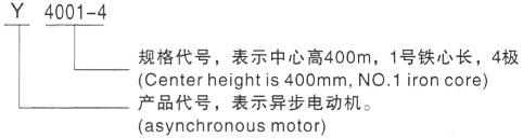 西安泰富西玛Y系列(H355-1000)高压YJTG-225M-8A/22KW三相异步电机型号说明