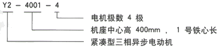 YR系列(H355-1000)高压YJTG-225M-8A/22KW三相异步电机西安西玛电机型号说明